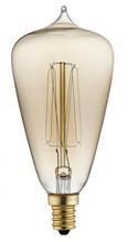 Kichler 4058CLR - 40W Antique Style Edison Bulb