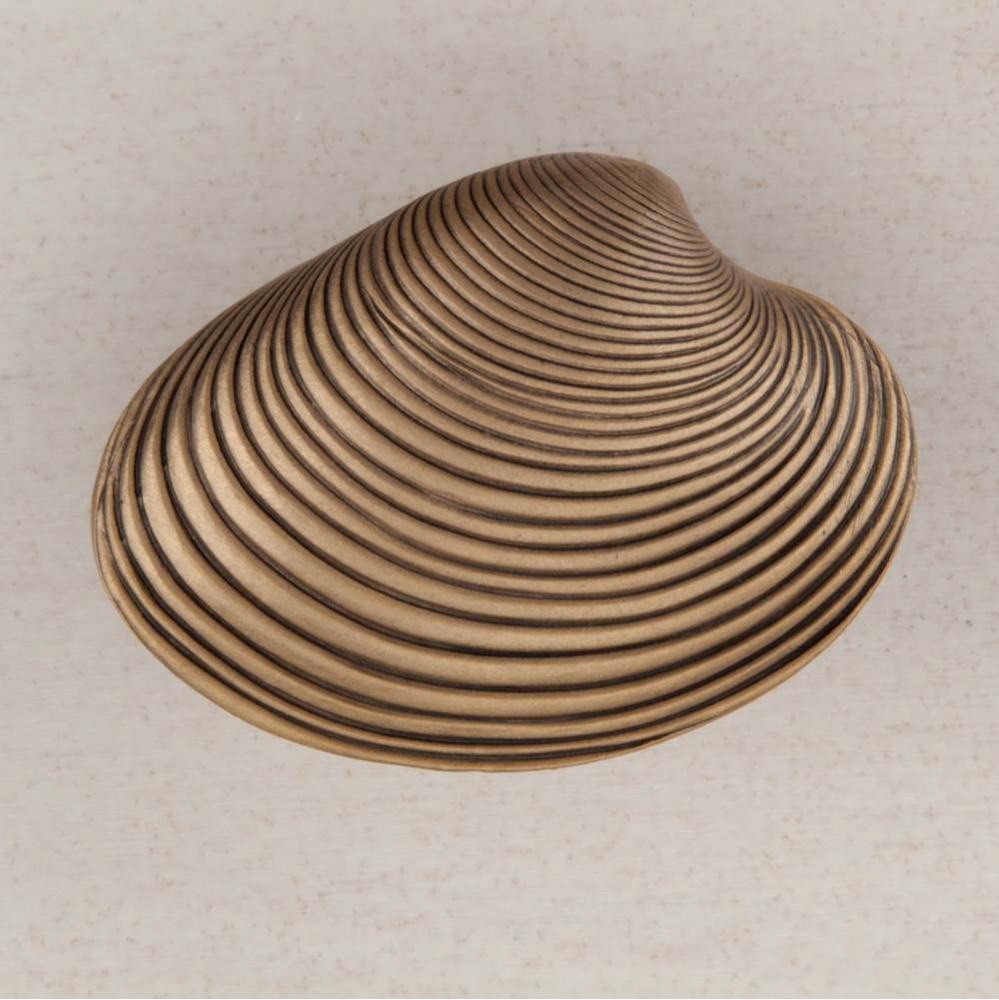 CLAM SHELL 1-3/8'' X 1-7/8''