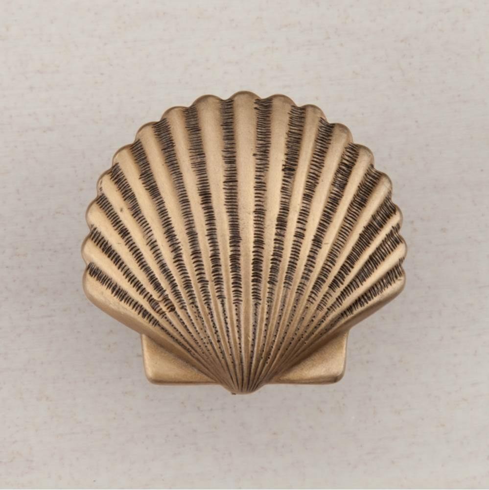 SMALL SCALLOP 1-3/8'' X 1-1/2''