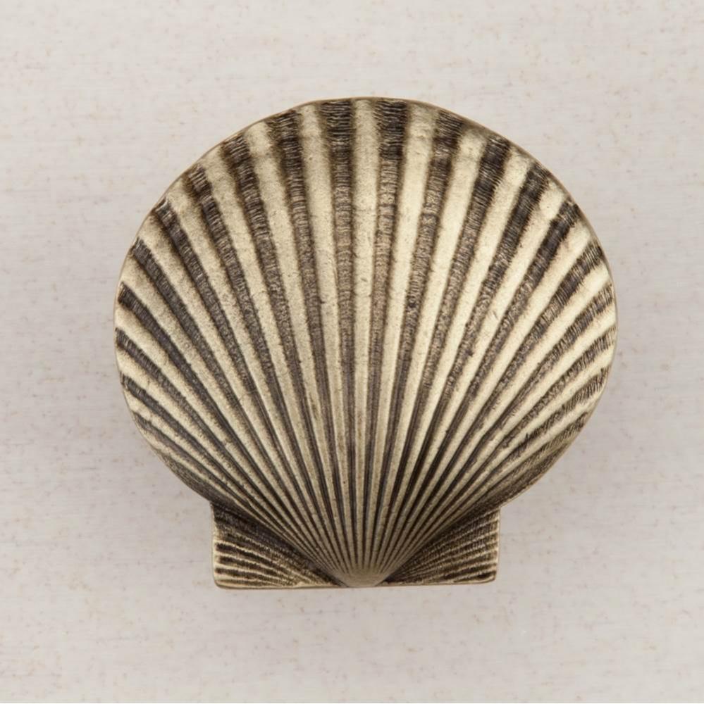 LARGE SCALLOP 1-5/8'' X 1-5/8''