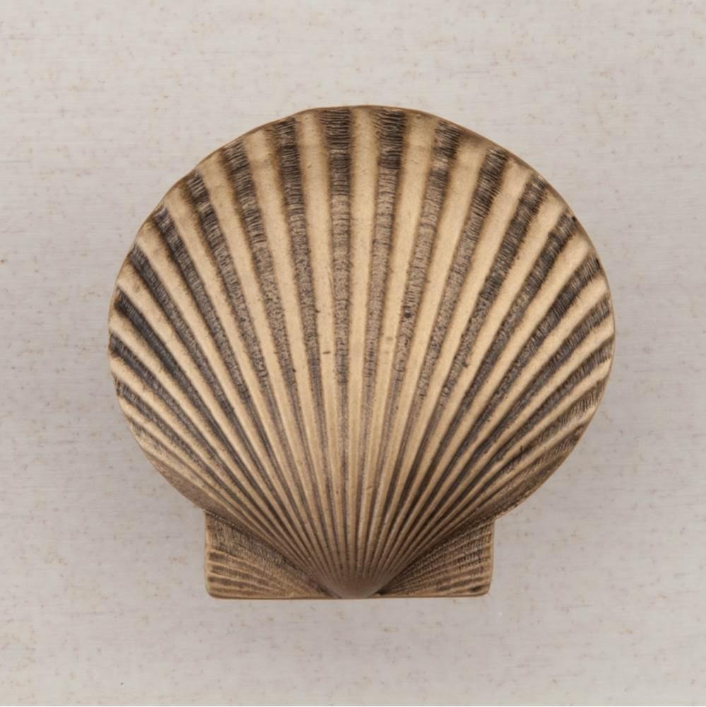 LARGE SCALLOP 1-5/8'' X 1-5/8''