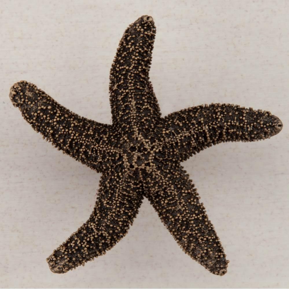 NATURAL STARFISH 2-1/4'' X 2-1/4''