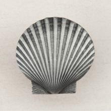 Acorn Manufacturing DPGPP - LARGE SCALLOP 1-5/8'' X 1-5/8''