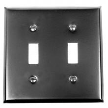 Acorn Manufacturing AW2BP - 2/Toggle Switch Plate
