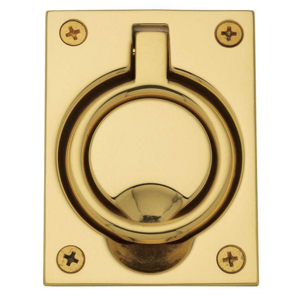 0395 FLUSH RING PULL 030