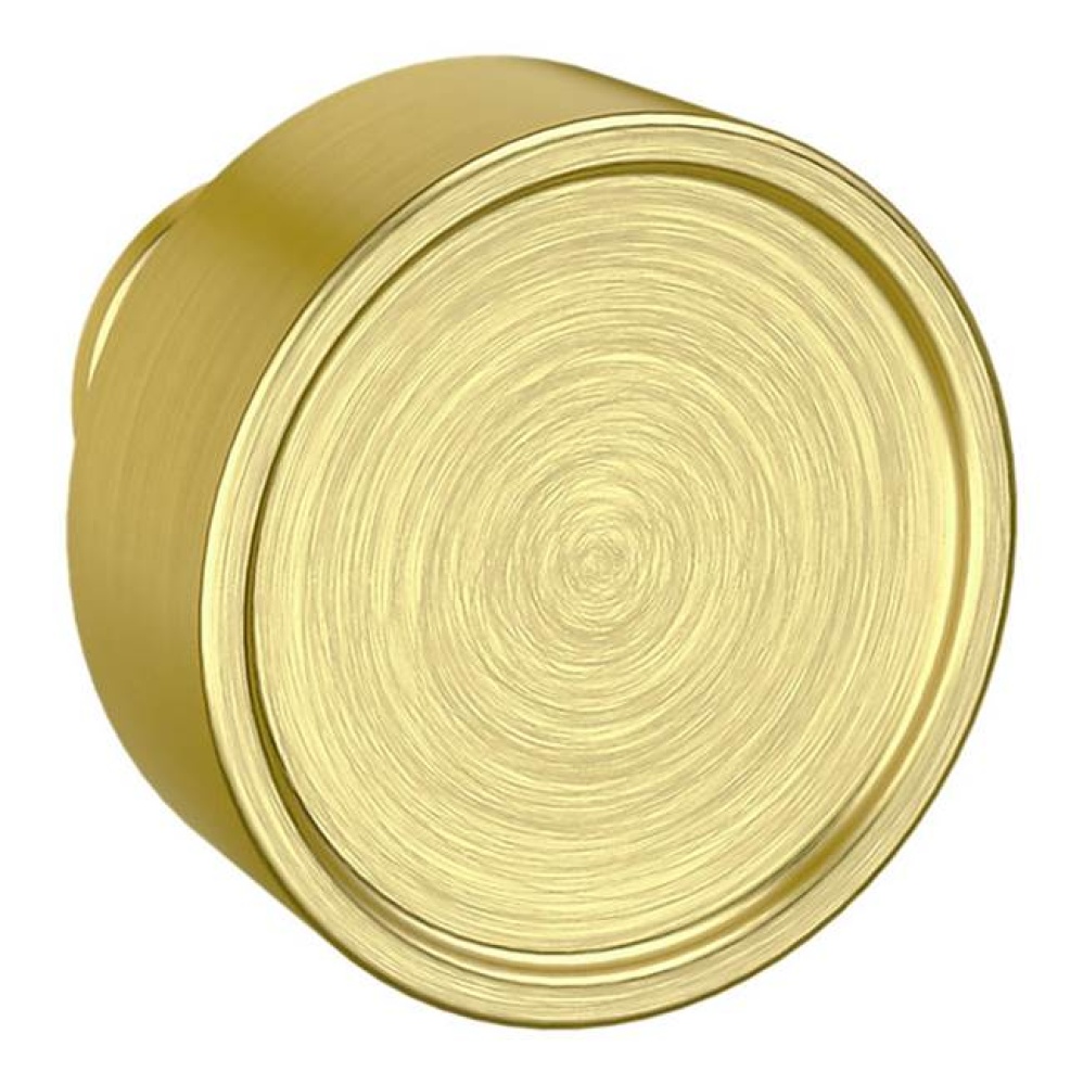 K007 KNBXLESS ROSE PAIR 044