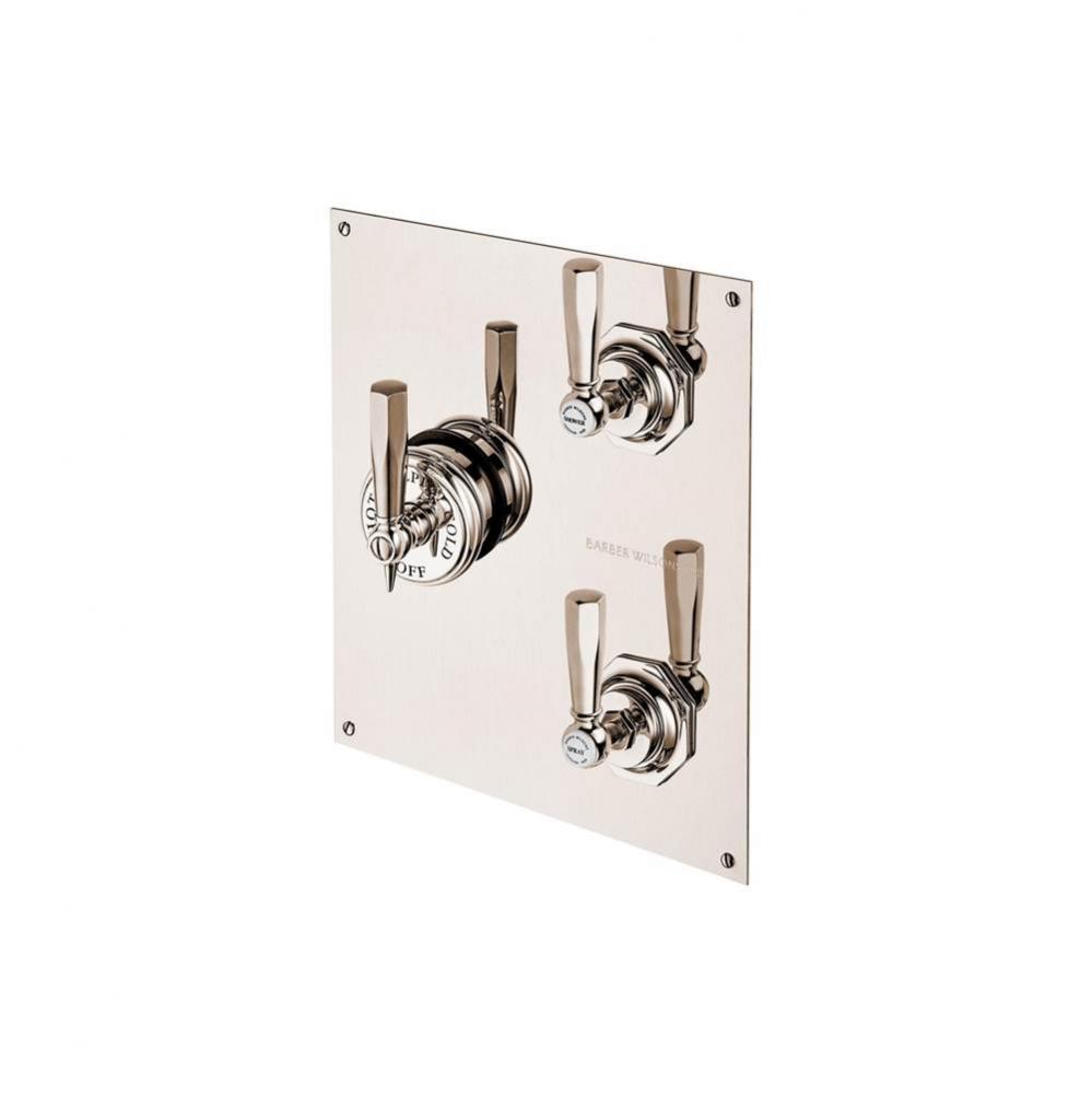 Concealed Mastercraft Thermostatic Valve W/ Two Volume Control  On Rectangular Plate With Ceramic