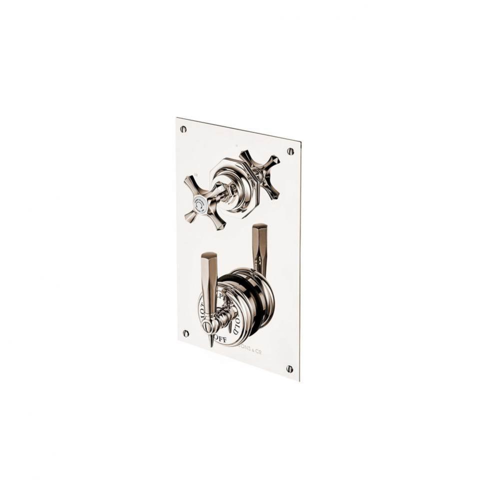 Mastercraft Concealed Thermostatic Valve With 2 Way Diverter On Plate With White Porcelain Button