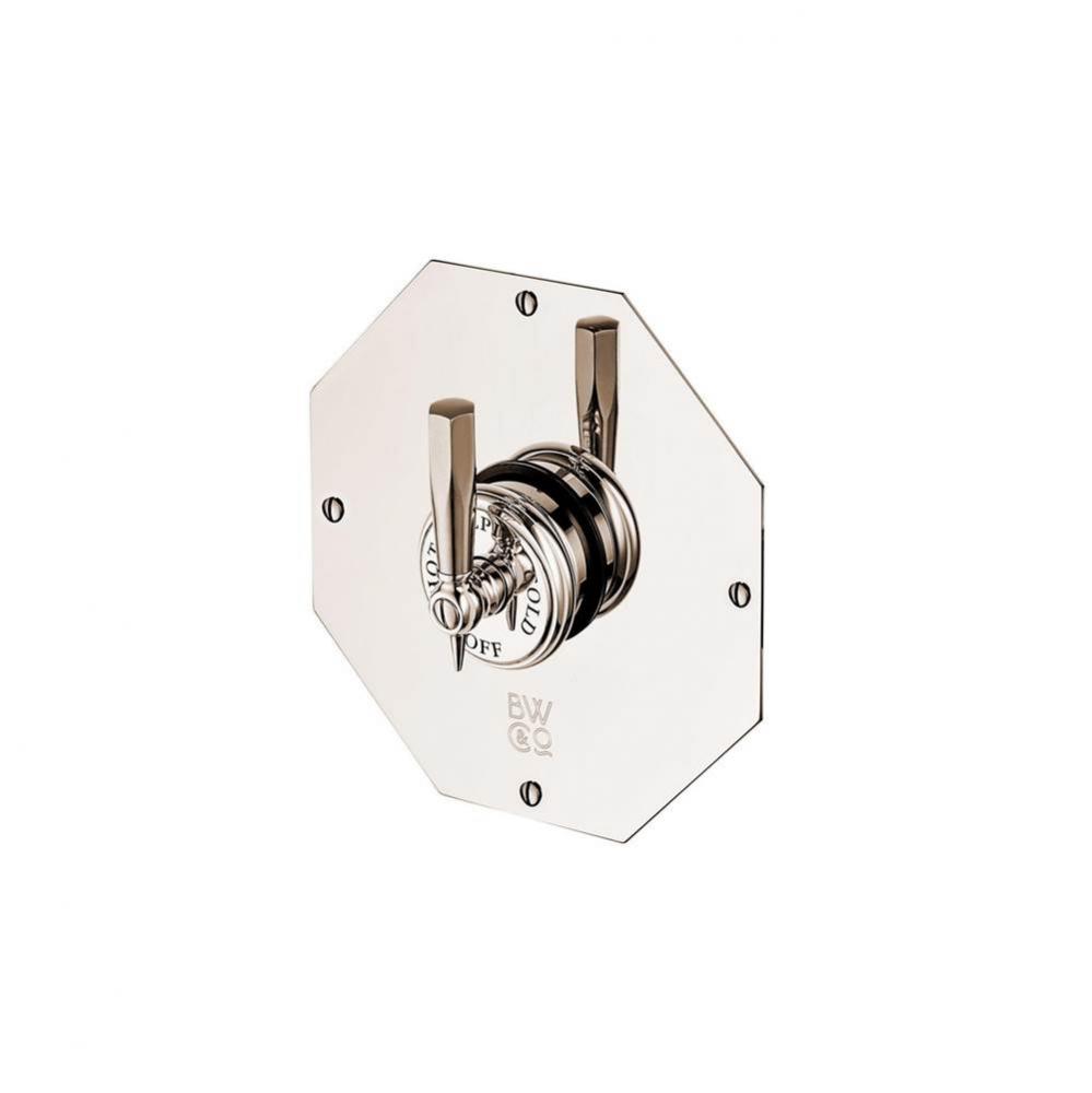 Concealed Mastercraft Thermostatic Valve With Metal Lever And Octagonal Plate