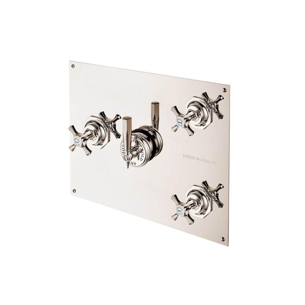 Concealed Mastercraft Thermostatic Valve W/Three Volume Controls On Rectangular Plate  With White