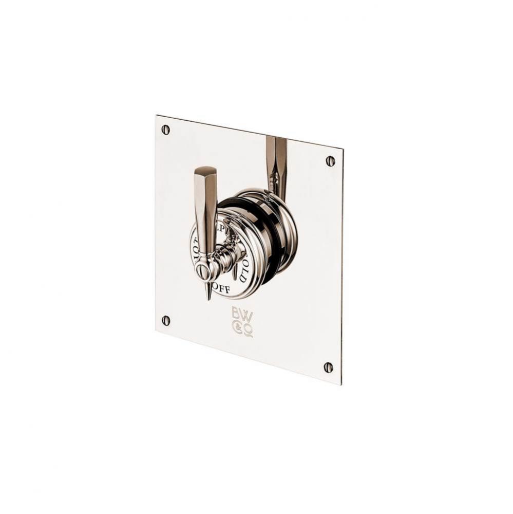 Mastercraft Concealed Thermostatic Valve With Square Plate