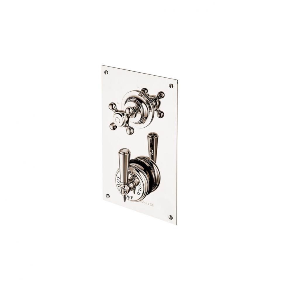 Concealed Thermostatic Valve With 2 Way Diverter On Plate With Metal Lever And Button