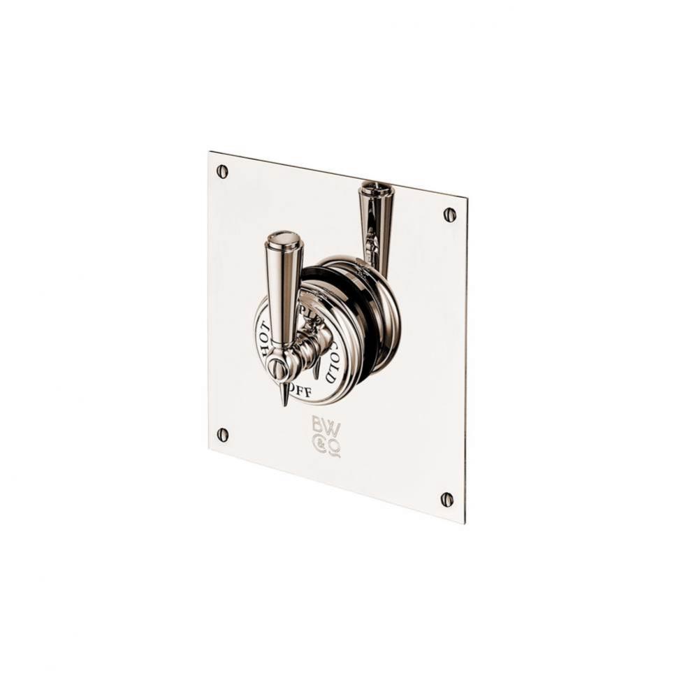 Concealed Thermostatic Valve With Square Plate With Metal Lever