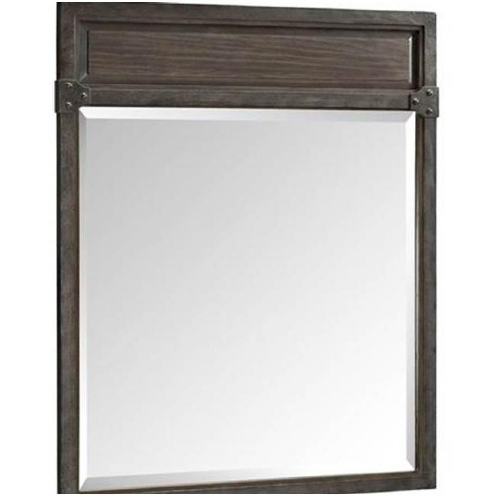 Toledo 28'' Mirror In Driftwood Gray