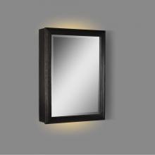 Fairmont Designs 1511-MC20LED-R - Charlottesville 20'' LED Medicine Cabinet - right - Vintage Black