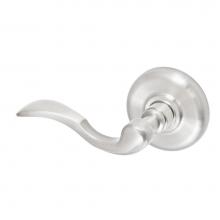 Fusion D-AF-B2-E-BRN-L - Paddle Lever with Radius  Rose Dummy Single in Brushed Nickel - Left