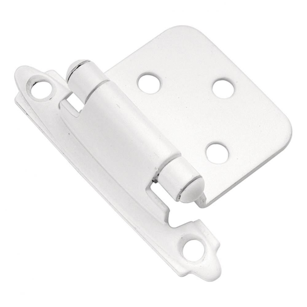 Hinge Flush Surface Face Frame Self-Close (2 Pack)