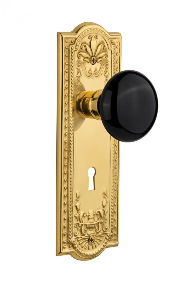 Nostalgic Warehouse Meadows Plate with Keyhole Passage Black Porcelain Door Knob in Polished Brass