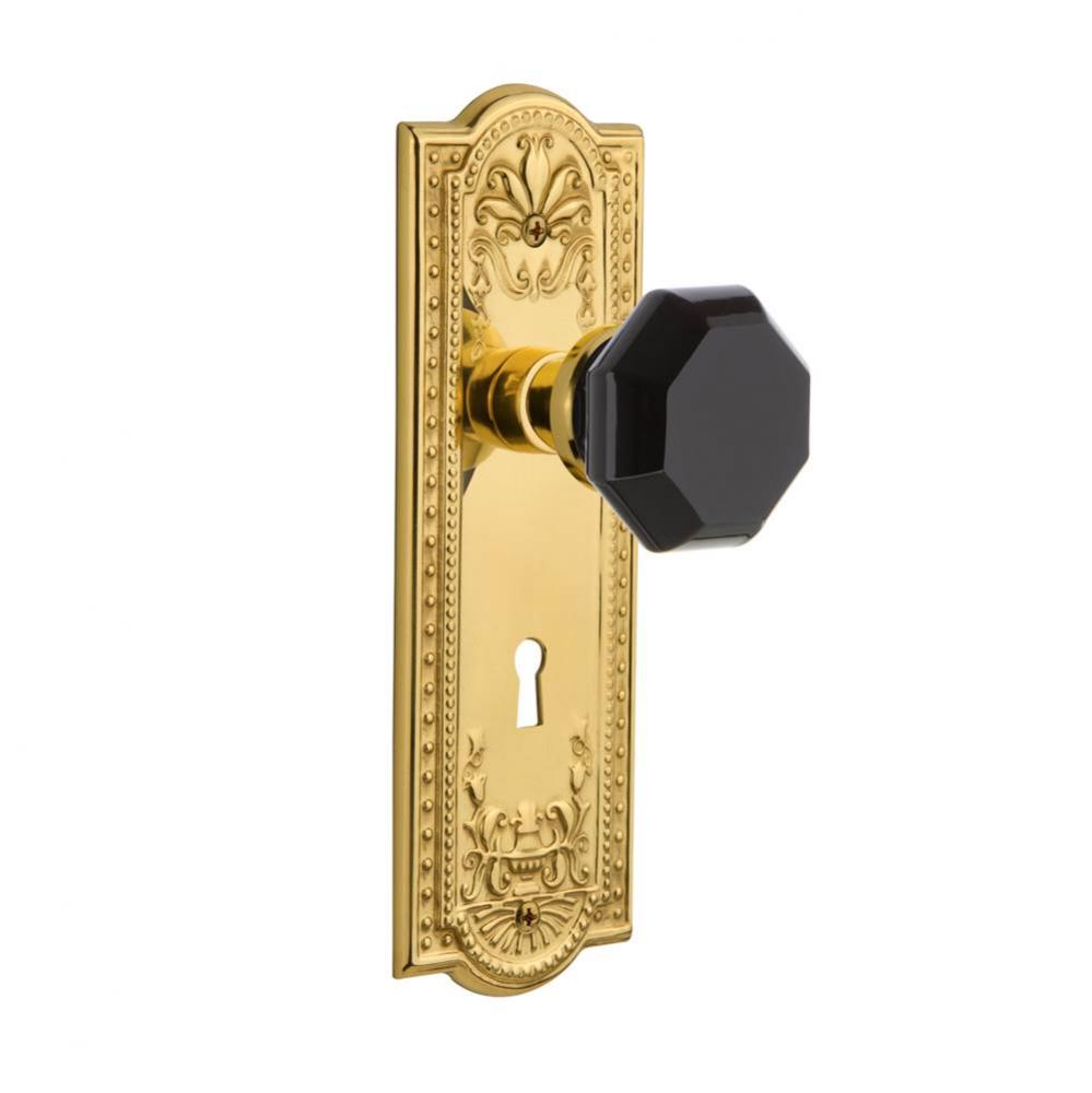 Nostalgic Warehouse Meadows Plate with Keyhole Passage Waldorf Black Door Knob in Polished Brass