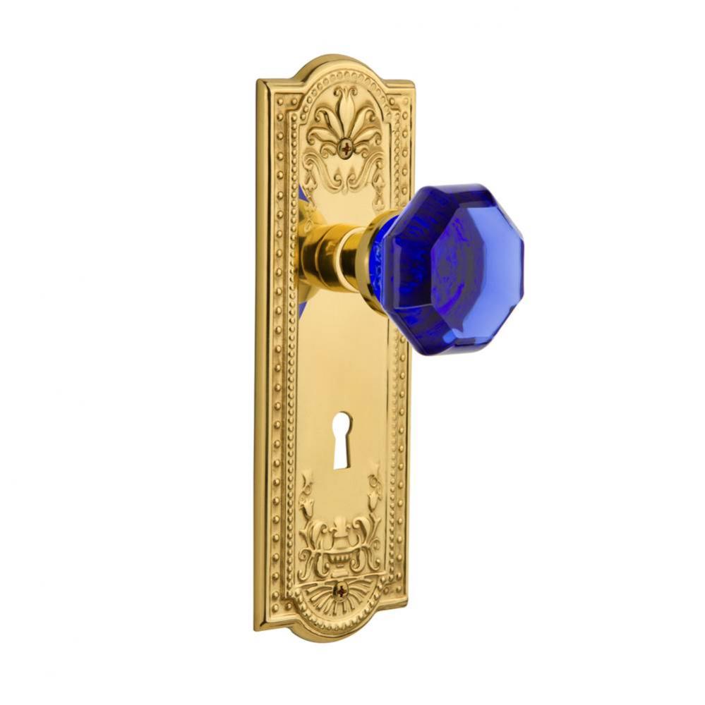 Nostalgic Warehouse Meadows Plate with Keyhole Passage Waldorf Cobalt Door Knob in Unlaquered Bras