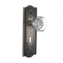 Nostalgic Warehouse 704393 - Nostalgic Warehouse Meadows Plate with Keyhole Privacy Waldorf Door Knob in Antique Pewter