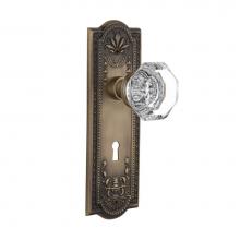 Nostalgic Warehouse 704396 - Nostalgic Warehouse Meadows Plate with Keyhole Privacy Waldorf Door Knob in Antique Brass