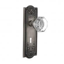 Nostalgic Warehouse 704405 - Nostalgic Warehouse Meadows Plate with Keyhole Double Dummy Waldorf Door Knob in Antique Pewter