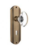 Nostalgic Warehouse 706653 - Nostalgic Warehouse Deco Plate with Keyhole Double Dummy Oval Clear Crystal Glass Door Knob in Ant