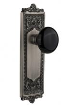 Nostalgic Warehouse 710200 - Nostalgic Warehouse Egg & Dart Plate Double Dummy Black Porcelain Door Knob in Antique Pewter