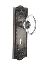 Nostalgic Warehouse 711726 - Nostalgic Warehouse Meadows Plate Interior Mortise Oval Clear Crystal Glass Door Knob in Antique P
