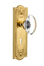 Nostalgic Warehouse 711729 - Nostalgic Warehouse Meadows Plate Interior Mortise Oval Clear Crystal Glass Door Knob in Polished