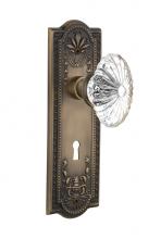 Nostalgic Warehouse 712165 - Nostalgic Warehouse Meadows Plate Interior Mortise Oval Fluted Crystal Glass Door Knob in Antique