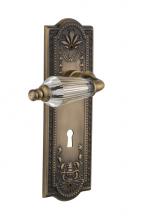 Nostalgic Warehouse 714231 - Nostalgic Warehouse Meadows Plate with Keyhole Single Dummy Parlor Lever in Antique Brass