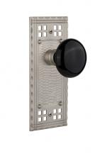 Nostalgic Warehouse 714707 - Nostalgic Warehouse Craftsman Plate Privacy Black Porcelain Door Knob in Satin Nickel