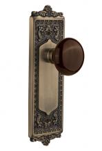 Nostalgic Warehouse 714949 - Nostalgic Warehouse Egg & Dart Plate Privacy Brown Porcelain Door Knob in Antique Brass