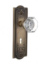 Nostalgic Warehouse 718457 - Nostalgic Warehouse Meadows Plate with Keyhole Privacy Waldorf Door Knob in Antique Brass