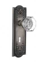 Nostalgic Warehouse 718458 - Nostalgic Warehouse Meadows Plate with Keyhole Privacy Waldorf Door Knob in Antique Pewter