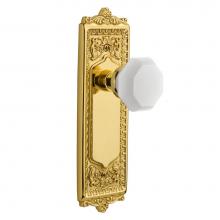 Nostalgic Warehouse 748088 - Nostalgic Warehouse Egg & Dart Plate Passage Waldorf White Milk Glass Knob in Polished Brass