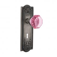 Nostalgic Warehouse 721671 - Nostalgic Warehouse Meadows Plate with Keyhole Passage Waldorf Pink Door Knob in Antique Pewter