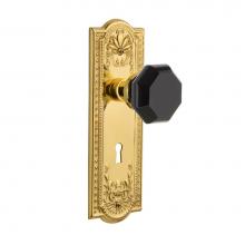 Nostalgic Warehouse 721701 - Nostalgic Warehouse Meadows Plate with Keyhole Passage Waldorf Black Door Knob in Unlaquered Brass