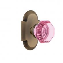 Nostalgic Warehouse 722192 - Nostalgic Warehouse Cottage Plate Single Dummy Waldorf Pink Door Knob in Antique Brass