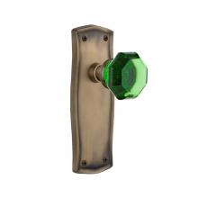 Nostalgic Warehouse 723505 - Nostalgic Warehouse Prairie Plate Double Dummy Waldorf Emerald Door Knob in Antique Brass