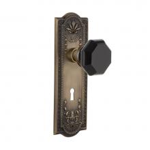 Nostalgic Warehouse 726284 - Nostalgic Warehouse Meadows Plate Interior Mortise Waldorf Black Door Knob in Antique Brass