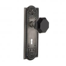 Nostalgic Warehouse 726288 - Nostalgic Warehouse Meadows Plate Interior Mortise Waldorf Black Door Knob in Antique Pewter