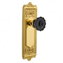 Nostalgic Warehouse 727241 - Nostalgic Warehouse Egg & Dart Plate Privacy Crystal Black Glass Door Knob in Unlaquered Brass