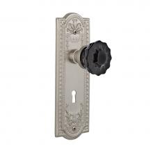 Nostalgic Warehouse 727484 - Nostalgic Warehouse Meadows Plate Interior Mortise Crystal Black Glass Door Knob in Satin Nickel