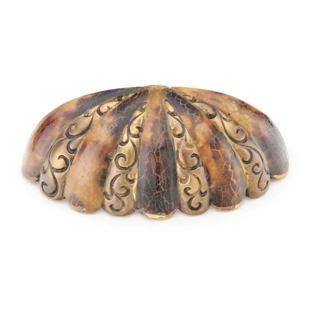 Cup Pull, Tiger Penshell, Estate Dover, 3'' cc