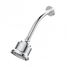 Santec 70231010 - Multifunction Cylindrical Showerhead with Arm and Flange