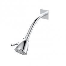 Santec 92791710 - Standard 6 Port Showerhead with Arm and Flange