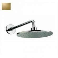 Toto THP4087#PB - Rain Shower Head Polished Brass